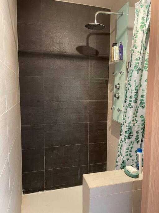 Appartement A 150M Du Lac- Plage De L'Imperial Annecy Zewnętrze zdjęcie
